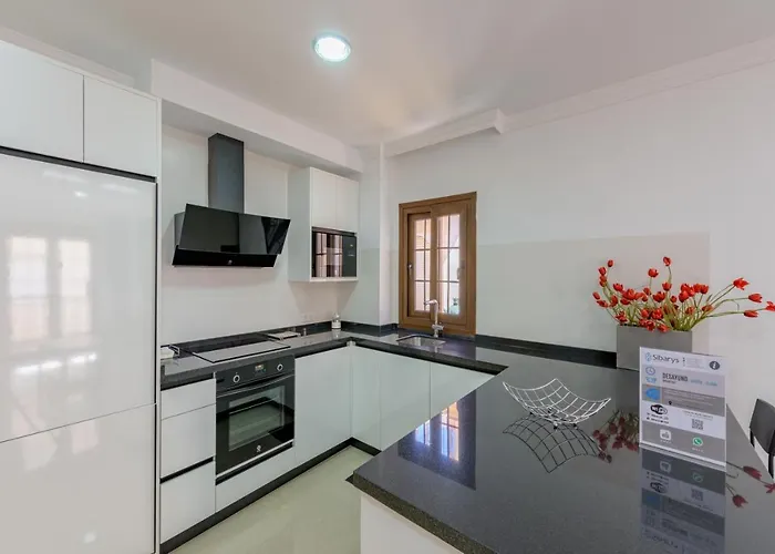 Apartamento Céntrico Sibarys - 2 dormitorios- Calle Pintada